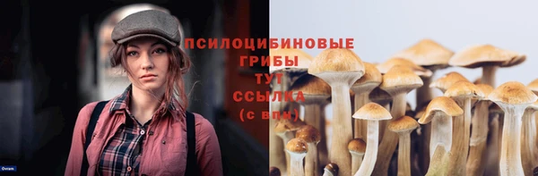 гашиш Касимов