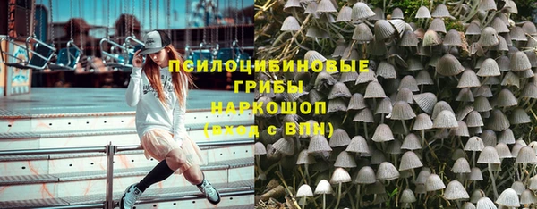 гашиш Касимов