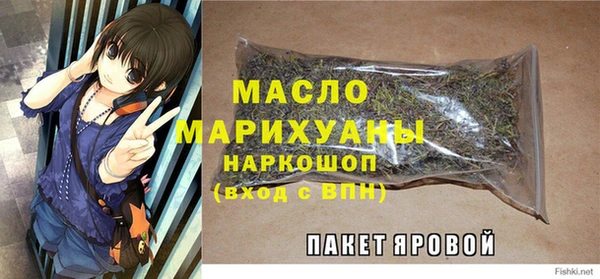 спиды Каменка
