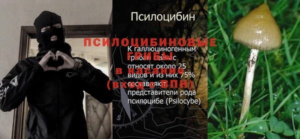 мяу мяу мука Карпинск