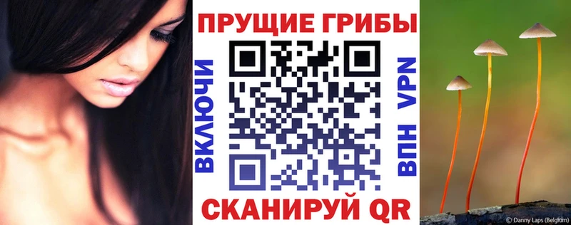 Галлюциногенные грибы Psilocybine cubensis  магазин  наркотиков  Туапсе 